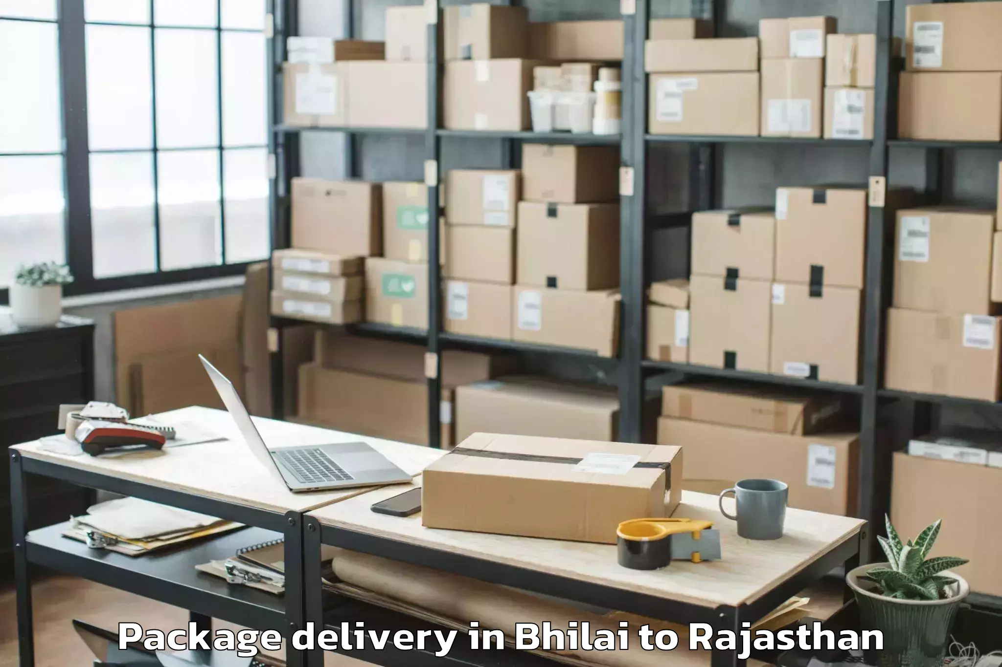 Affordable Bhilai to Dabok Airport Udr Package Delivery